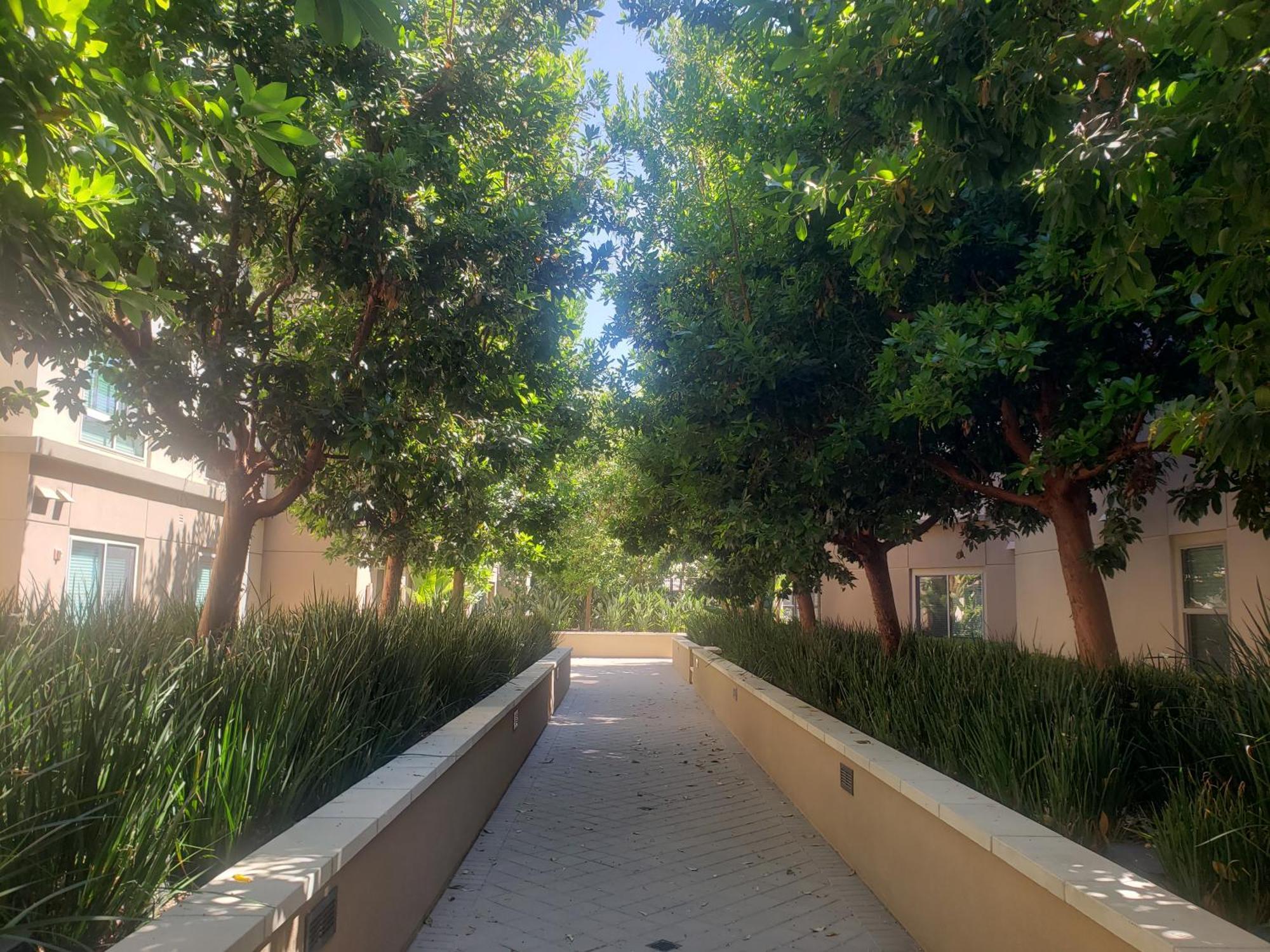 Appartamento Penthouse Dreams Irvine Esterno foto