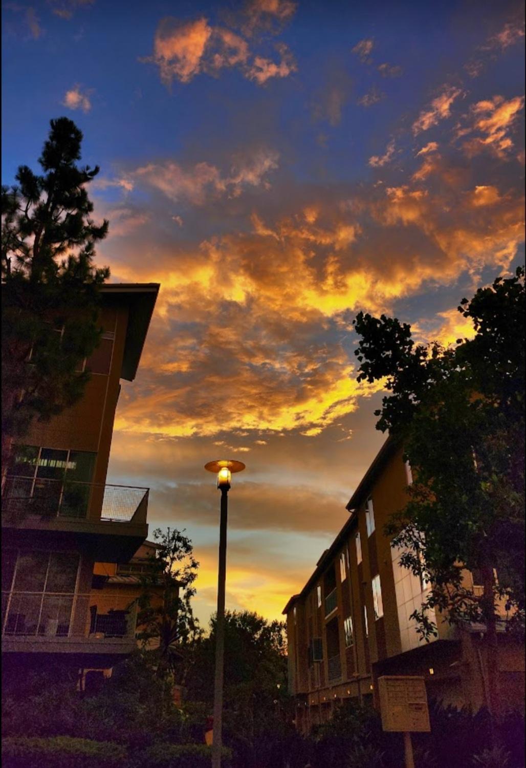 Appartamento Penthouse Dreams Irvine Esterno foto